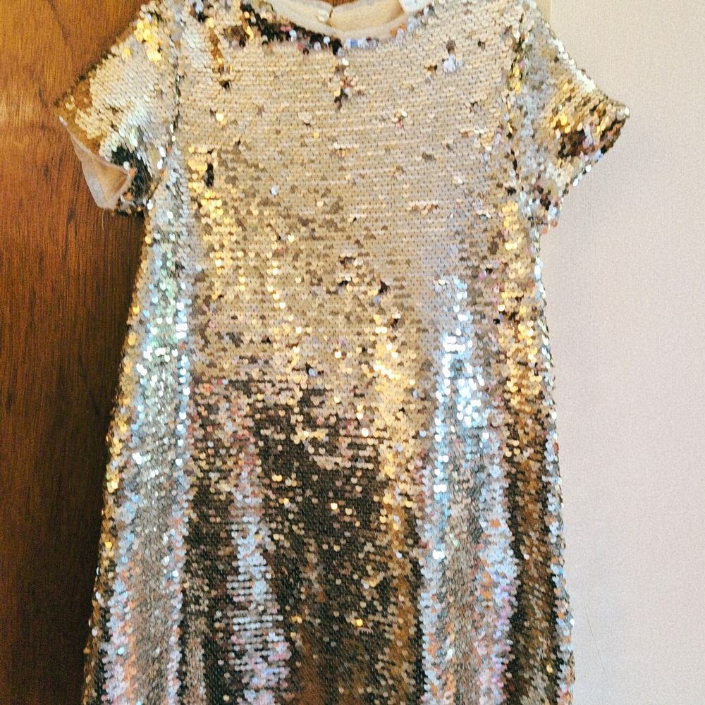 Zara Kids Silver Sequin Top